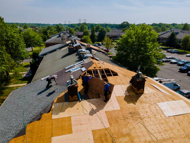 Roof Gutter Cleaning in Riverside, ID